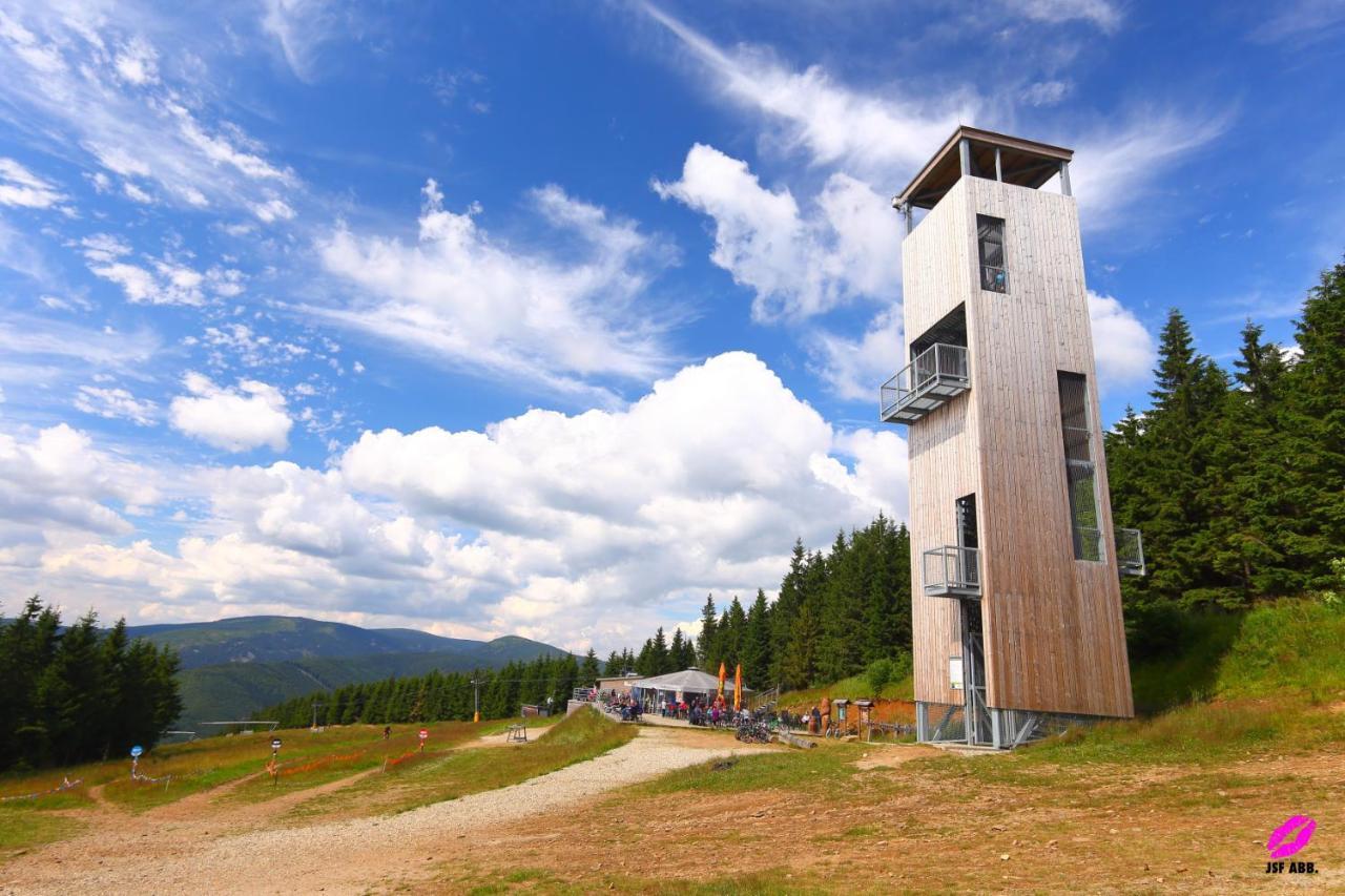 Apartmány Sophia 5 a 6 Velké Losiny Kültér fotó